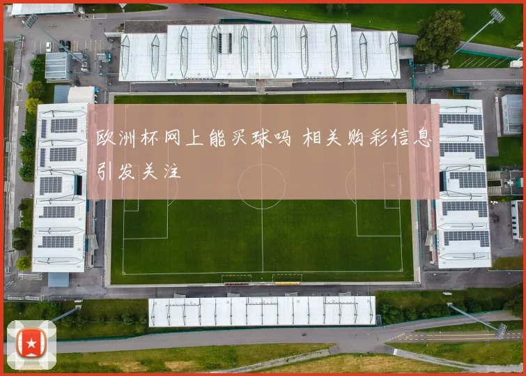 欧洲杯网上能买球吗 相关购彩信息引发关注