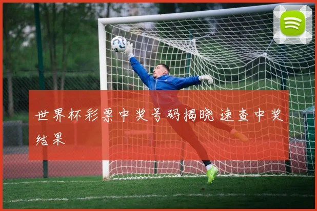 世界杯彩票中奖号码揭晓 速查中奖结果