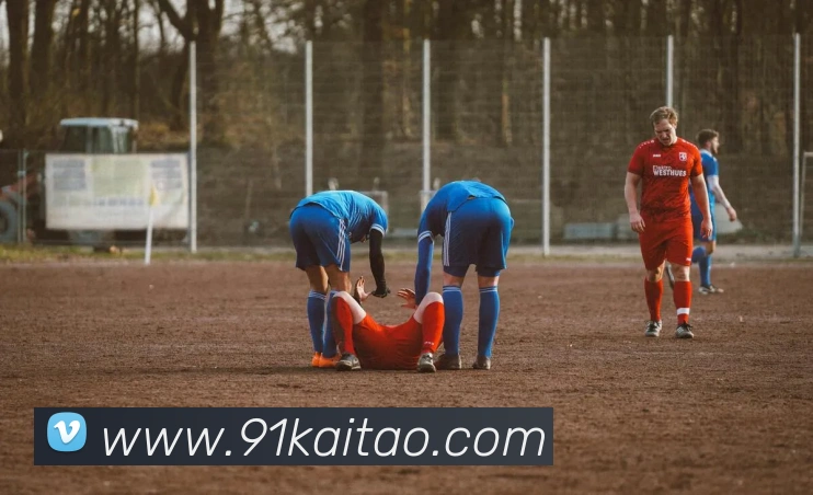 leyu乐鱼官网地址平台生态图